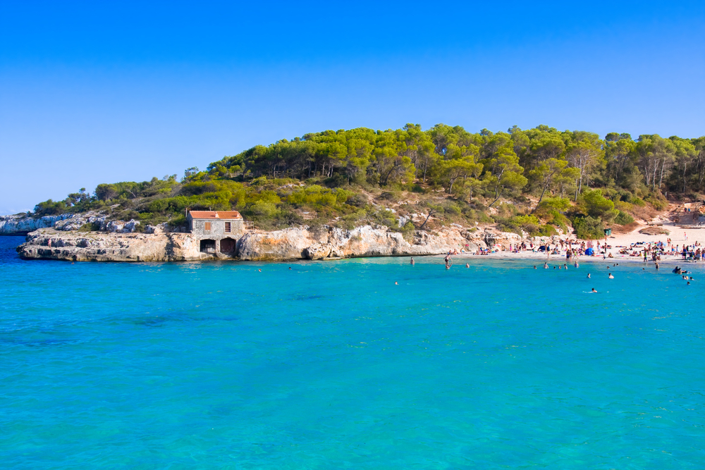 03_shutterstock_222232954