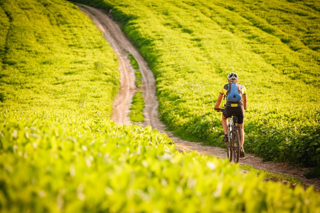 kolo1_shutterstock_297390860