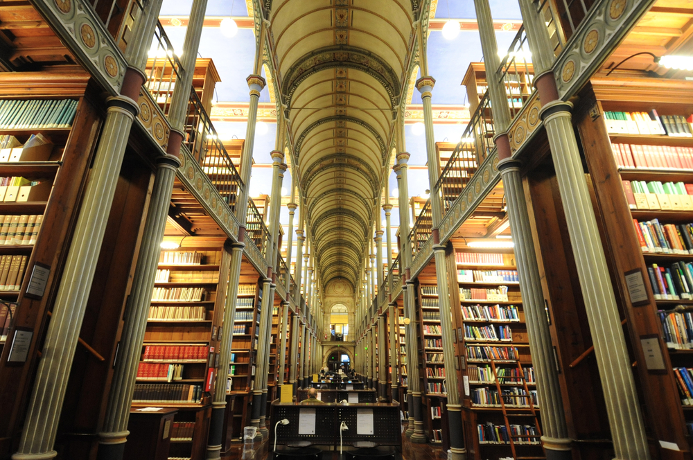 sole_012_shutterstock_166712735