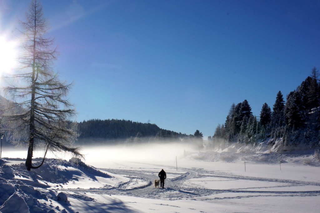turacher_04